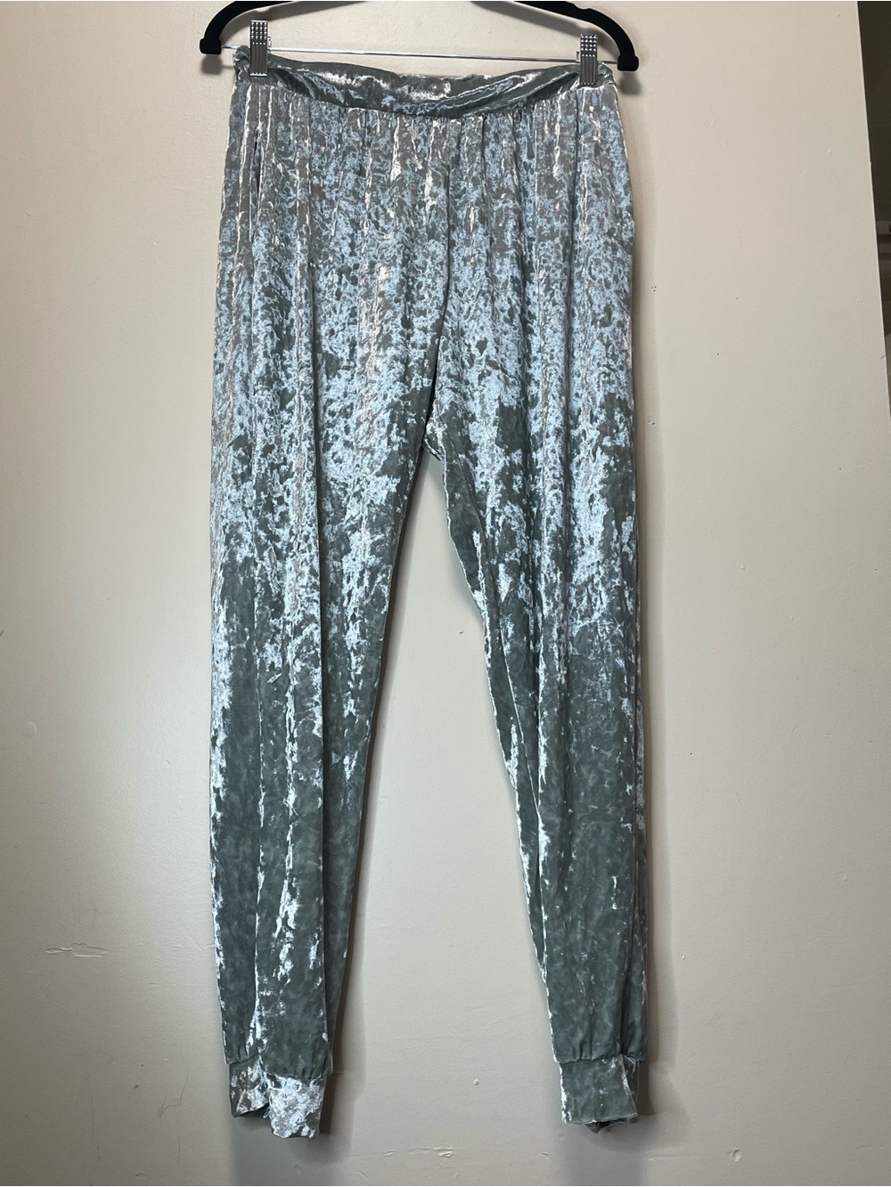 Fashionomics Silver Crushed Velvet Jogger Pants